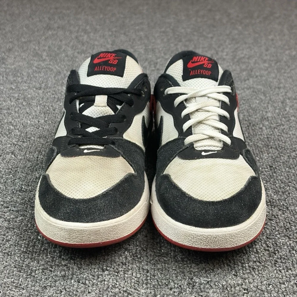 Nike sb alleyoop